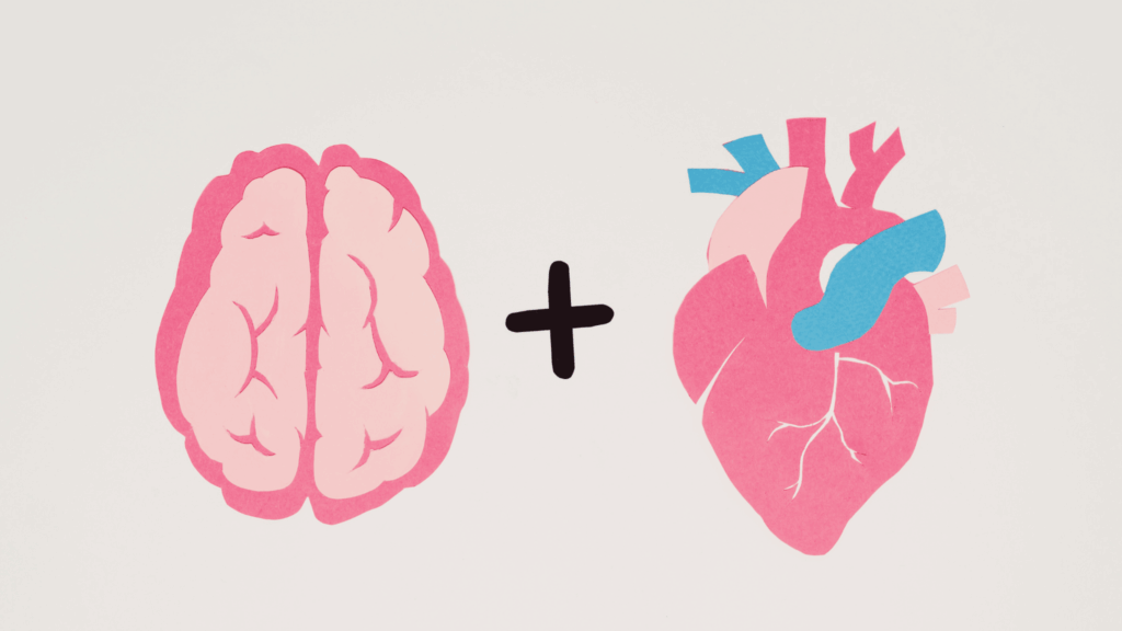what are the 8 phases of EMDR from my viewpoint