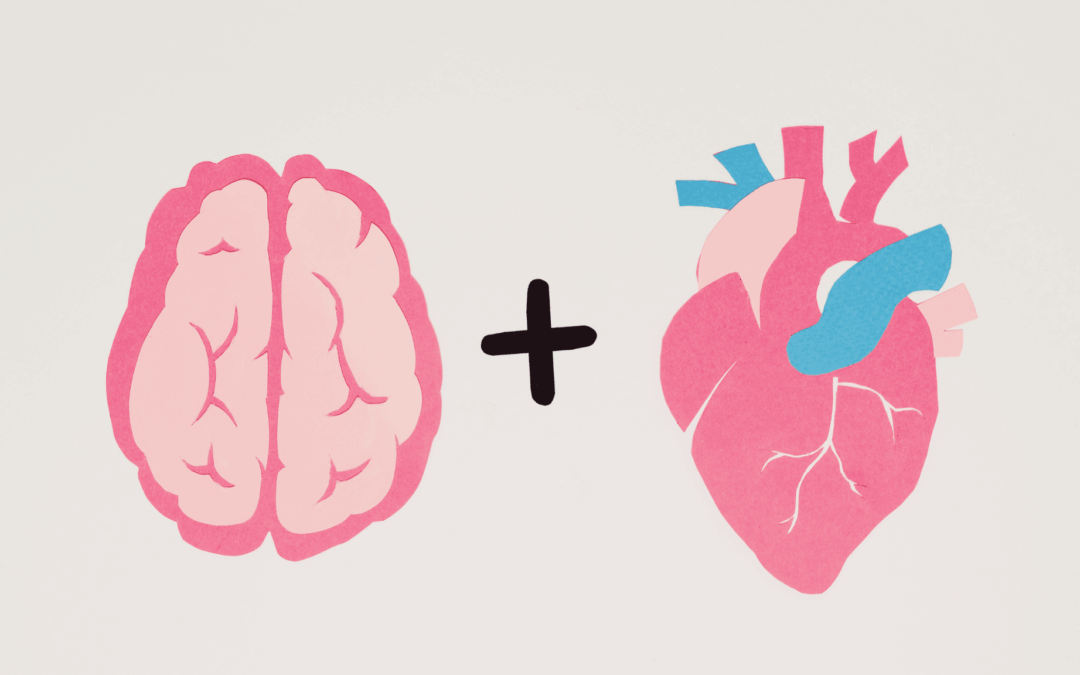What are the 8 Phases of EMDR?